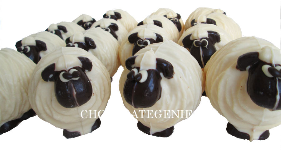 Chocolate Genie sheep truffles